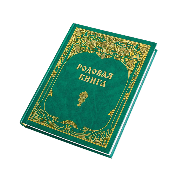 Dzimtas grāmata ģimenes hronikas rakstīšanai un glabāšanai (krievu val.)
